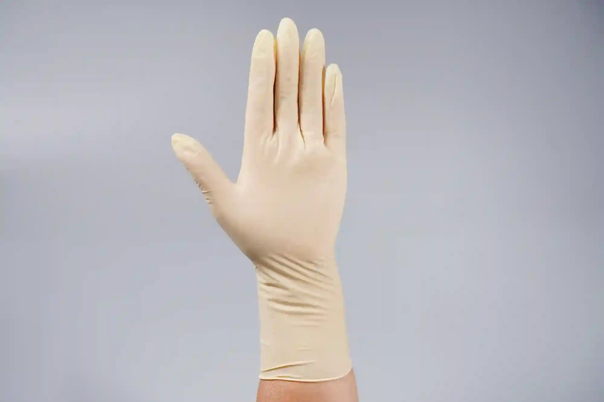 12-inch Latex Glove 4